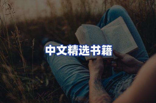 中文精选书籍